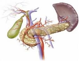 Психосоматика холангита