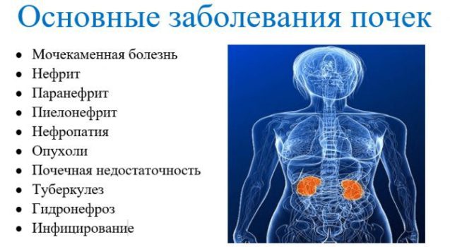 Психосоматика – болезни почек
